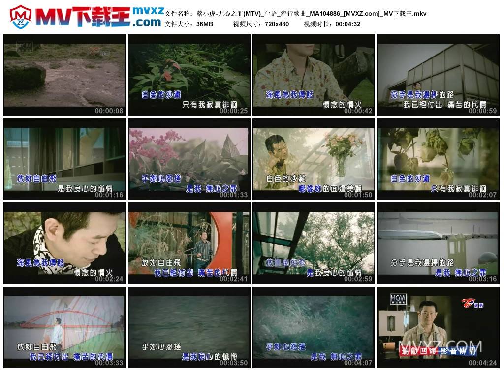 蔡小虎-无心之罪(MTV)_台语_流行歌曲_MA104886